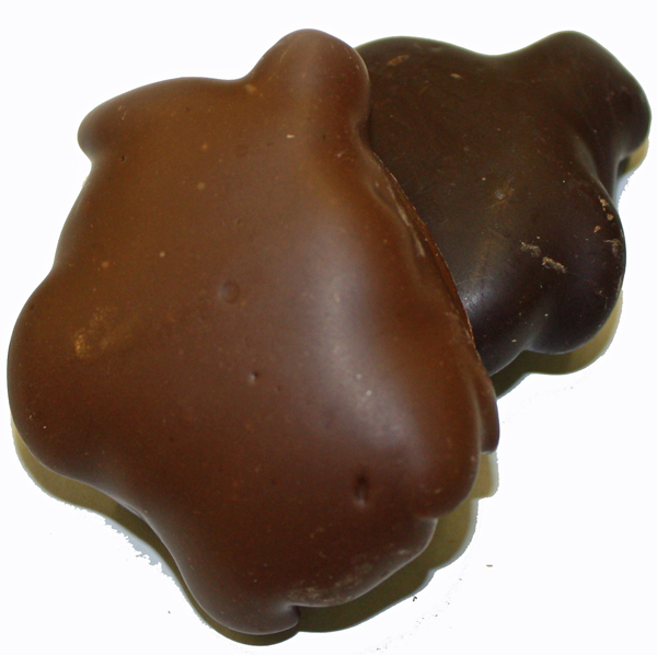 Turtles 1lbs Box Yummies Candy & Nuts